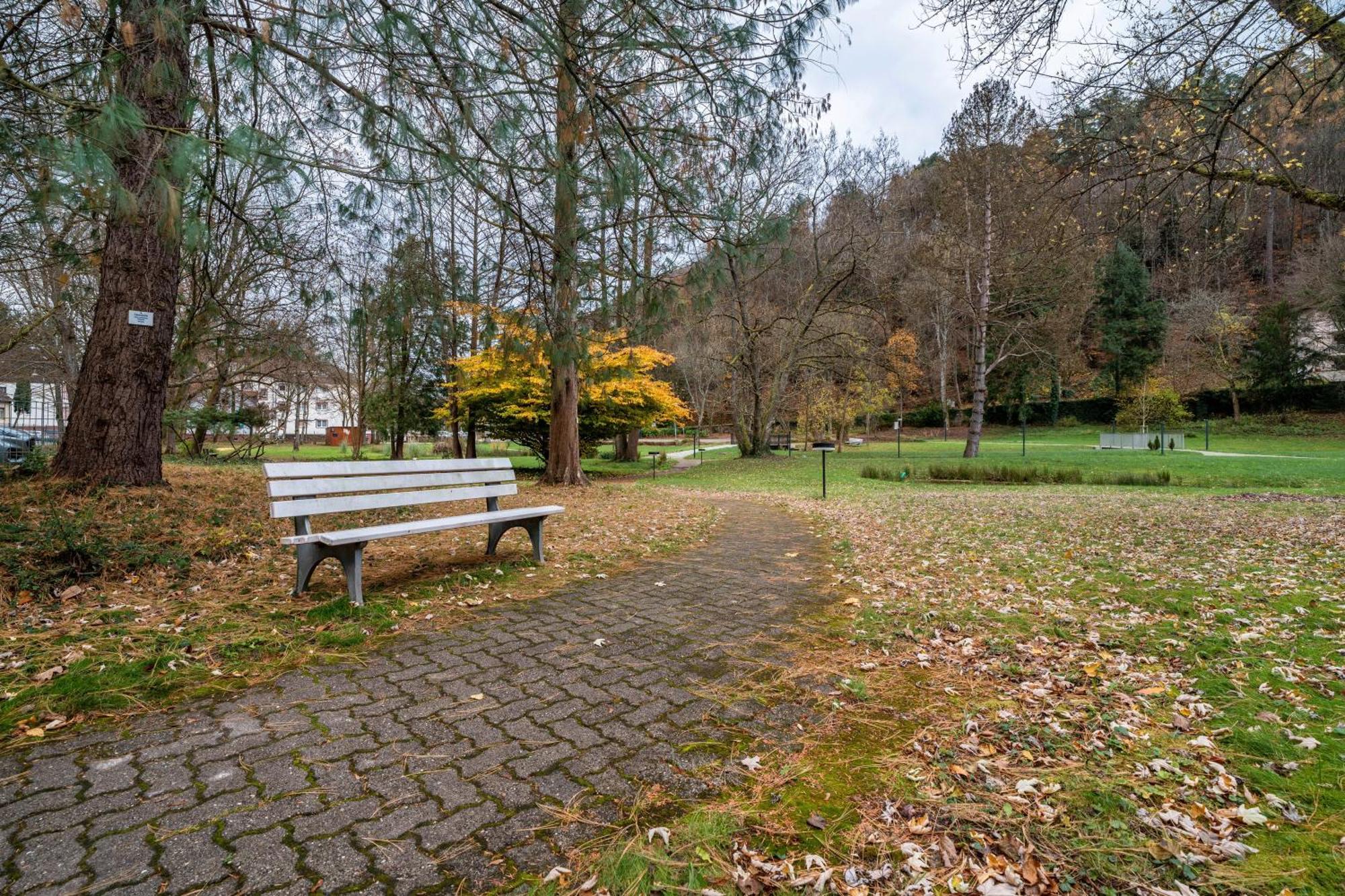 Luise Apartment Bad Bergzabern Bagian luar foto