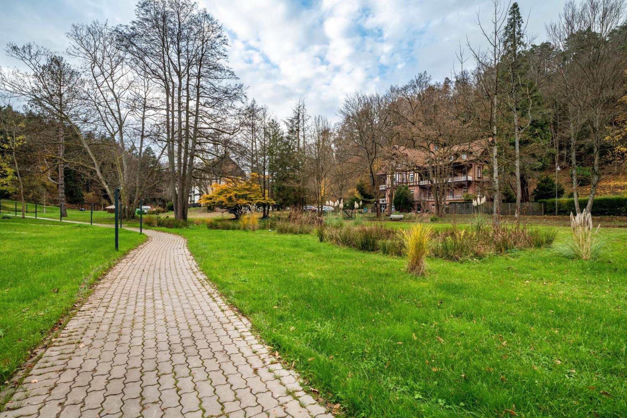 Luise Apartment Bad Bergzabern Bagian luar foto